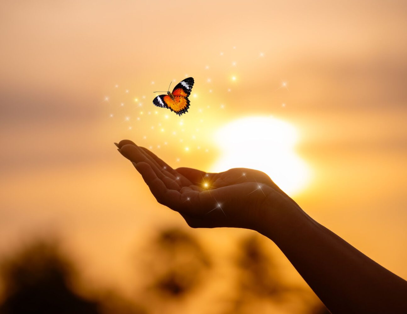 Un papillon qui prend son envol de la paume 'une main